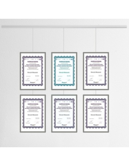 System prezentacji dyplomów